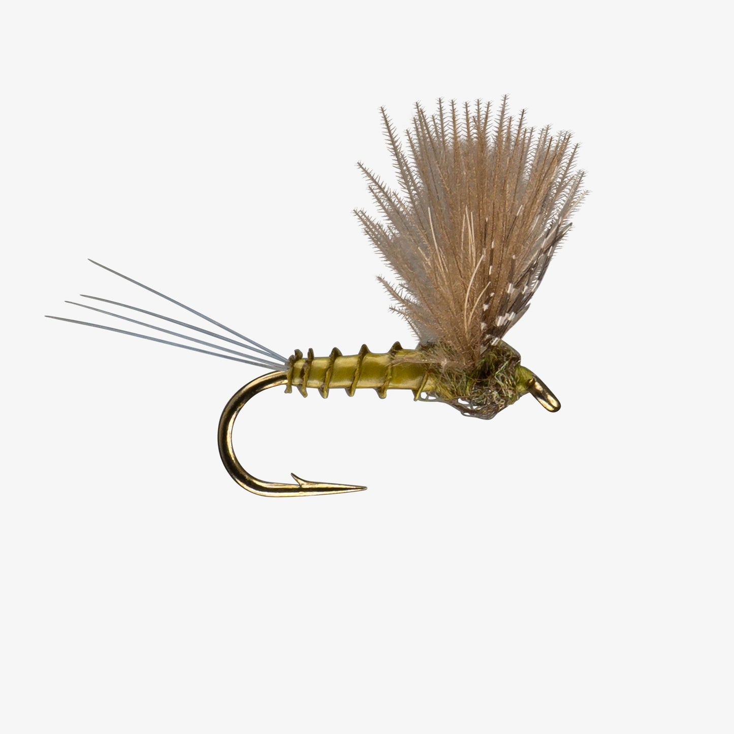 BWO - CDC Comparadun Fly Image - Mayfly Dries
