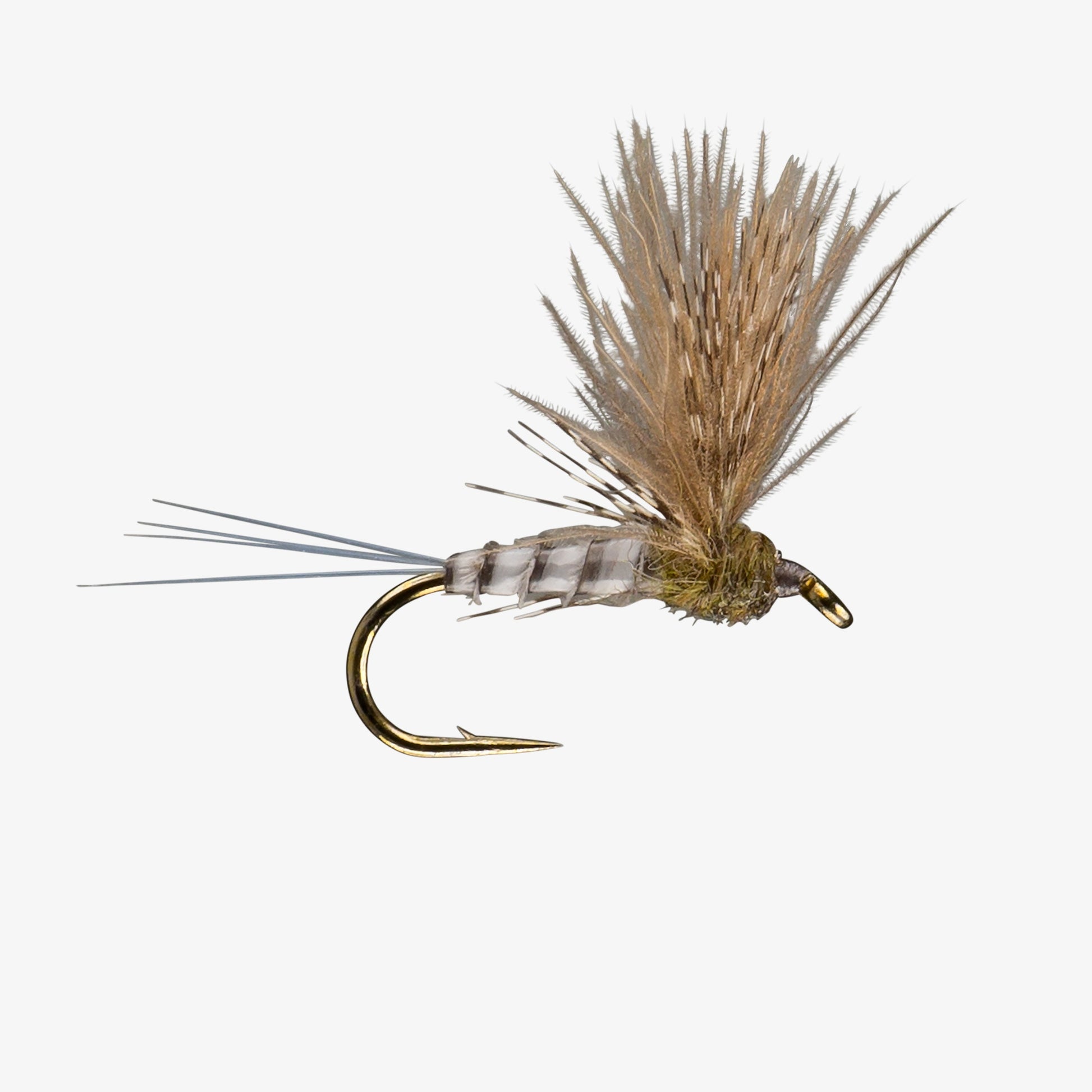 Callibaetis - CDC Comparadun Fly Image - Mayfly Dries