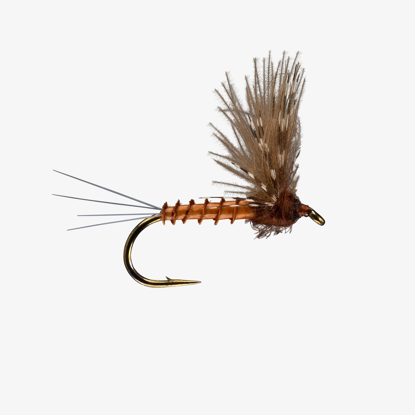 Mahogony - CDC Comparadun Fly Image - Mayfly Dries