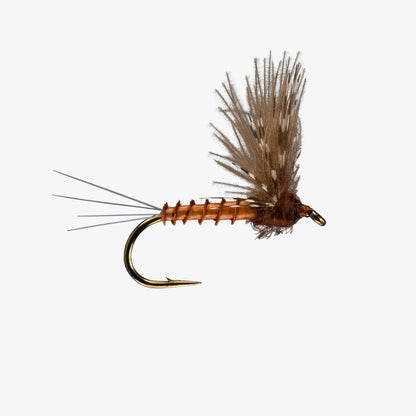 Mahogony - CDC Comparadun Fly Image - Mayfly Dries