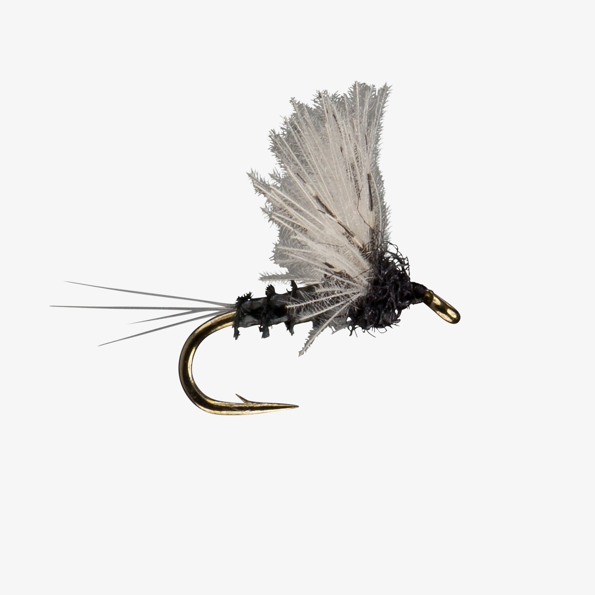 Male Trico - CDC Comparadun Fly Image - Mayfly Dries