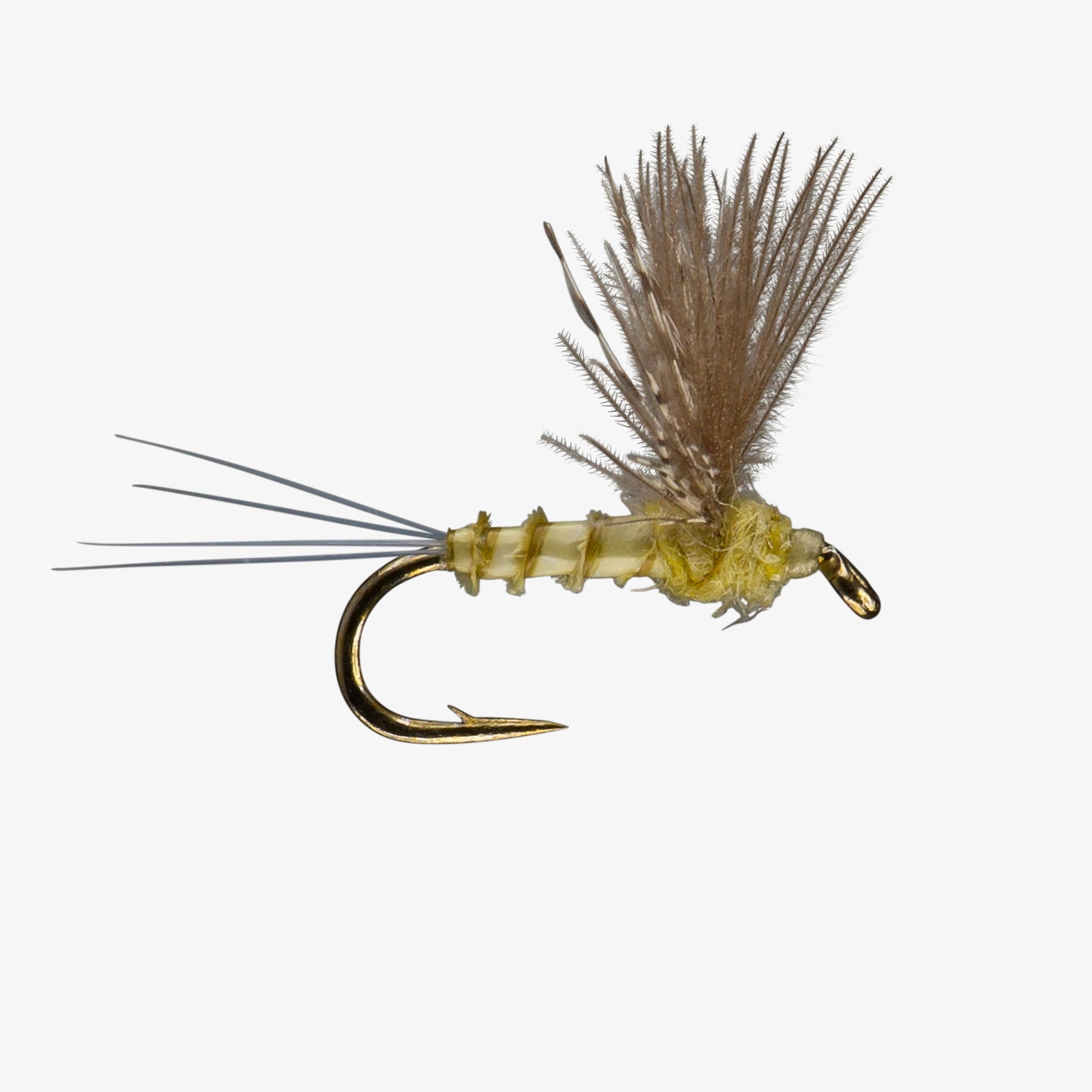PMD - CDC Comparadun Fly Image - Mayfly Dries