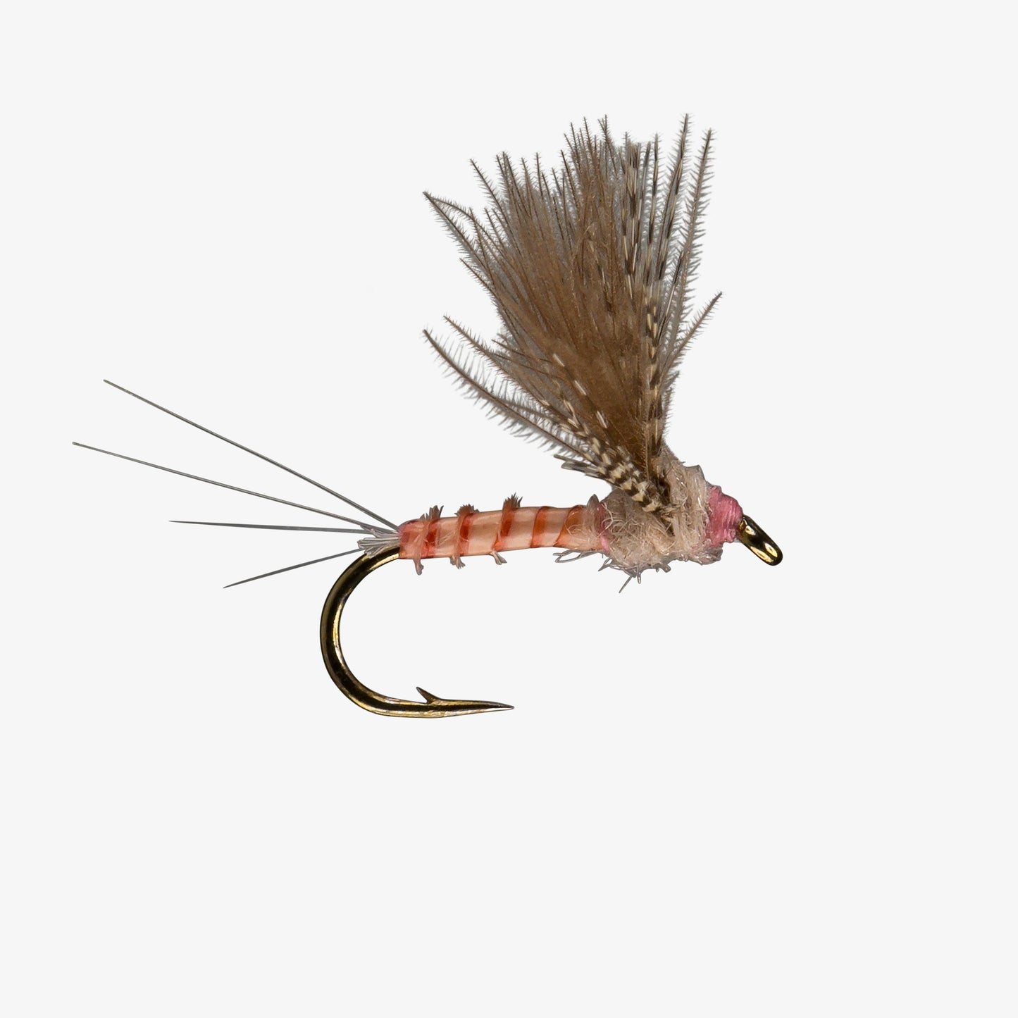 Pink - CDC Comparadun Fly Image - Mayfly Dries