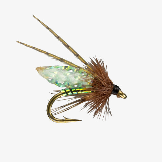 Caddis Green - PC Poopah Pattern - Nymph