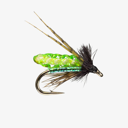 Chartreuse - PC Poopah Pattern - Nymph