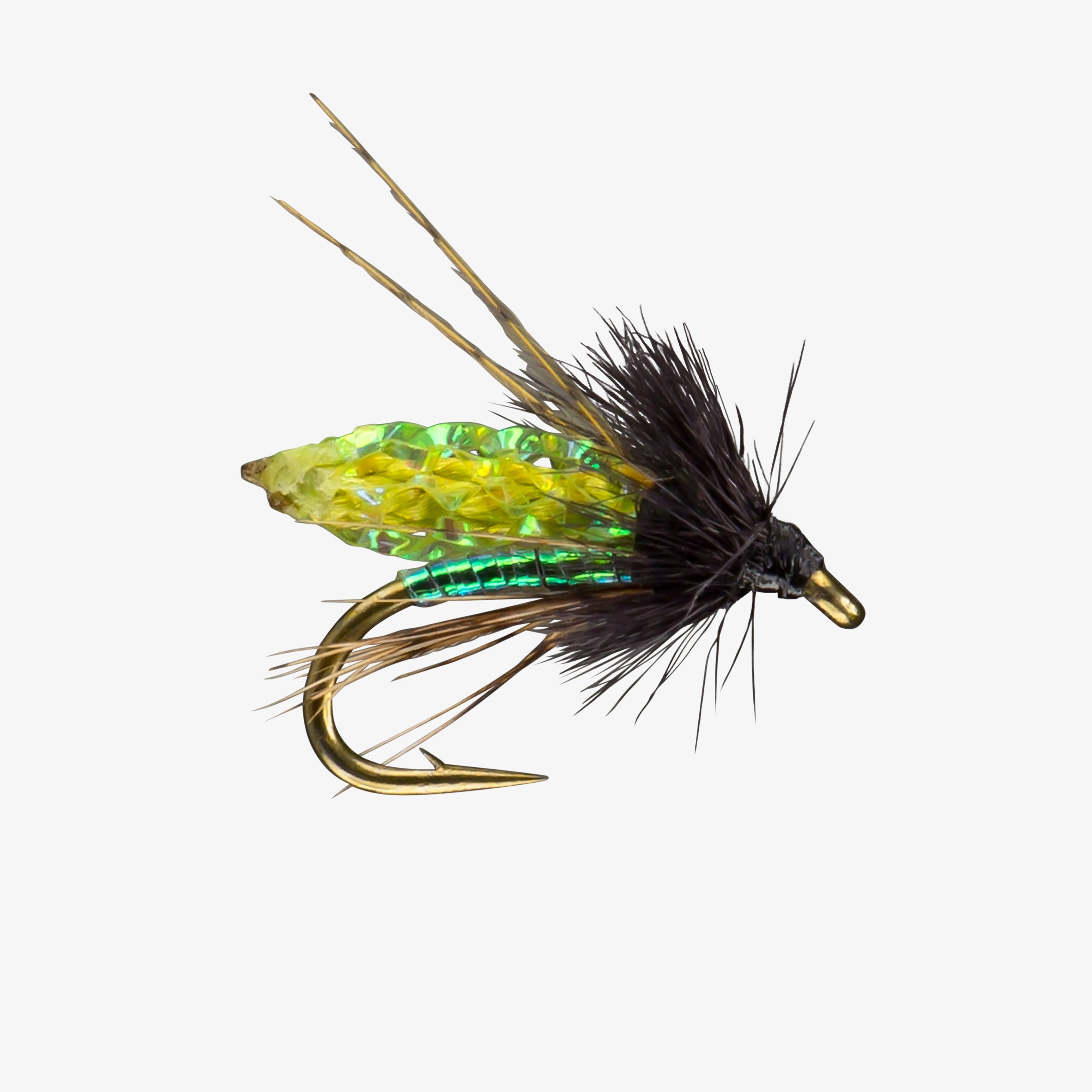 RIO' s PC Pupa | RIO Products