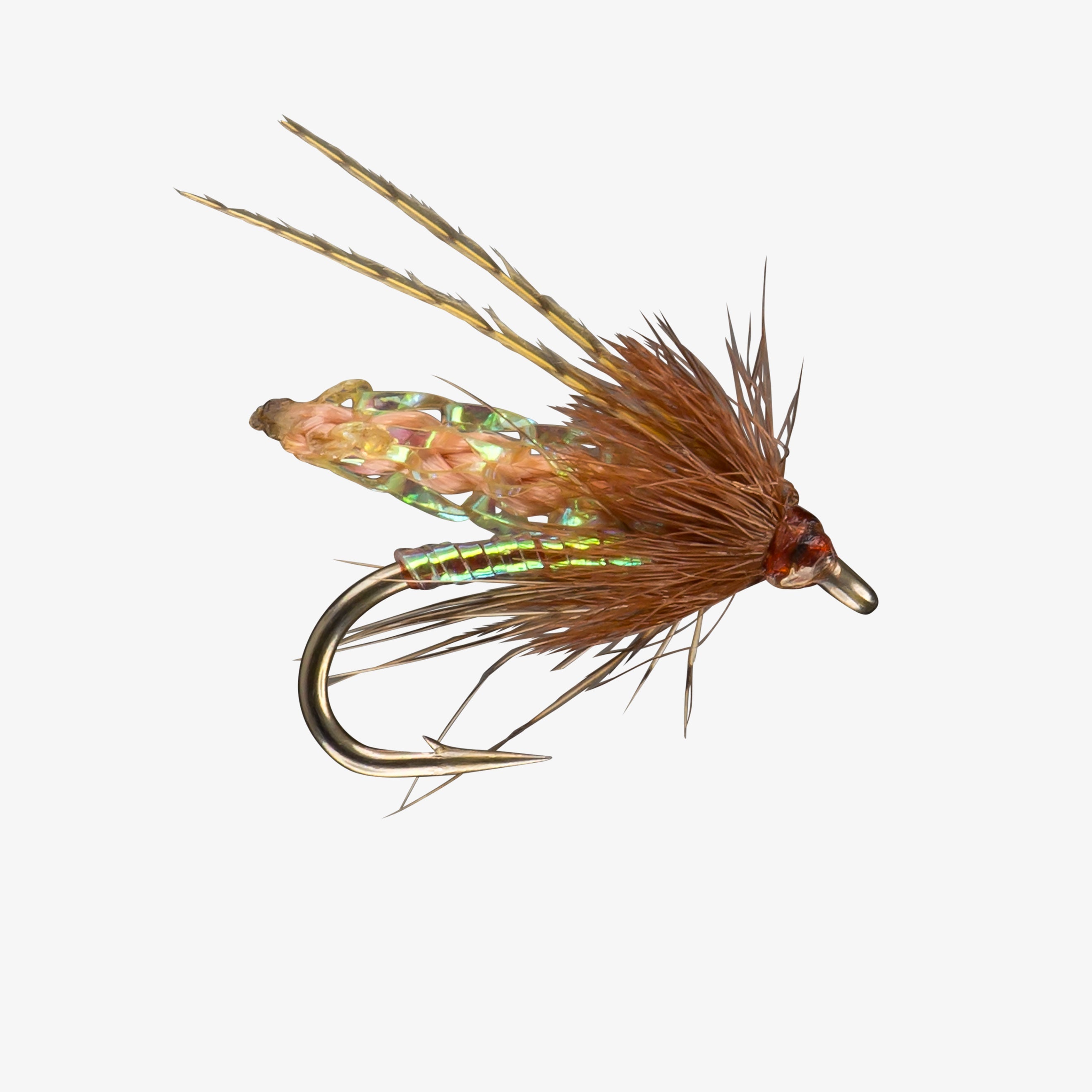 RIO' s PC Pupa | RIO Products