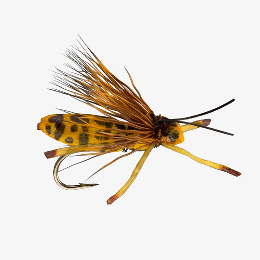 Yellowjacket - Buzzkill Pattern - Terrestrials