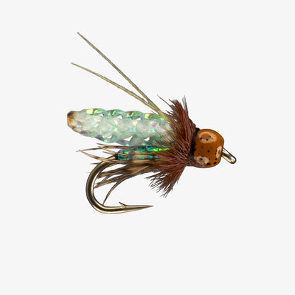 Caddis Green - PC Poopah Pattern - Tungsten Nymph