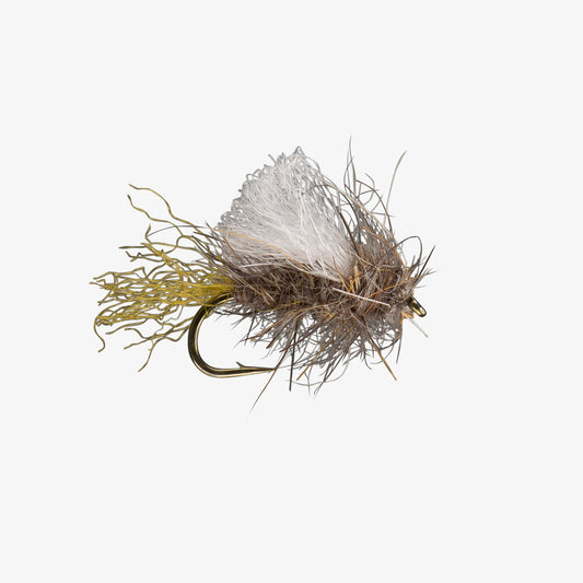 Iris Caddis