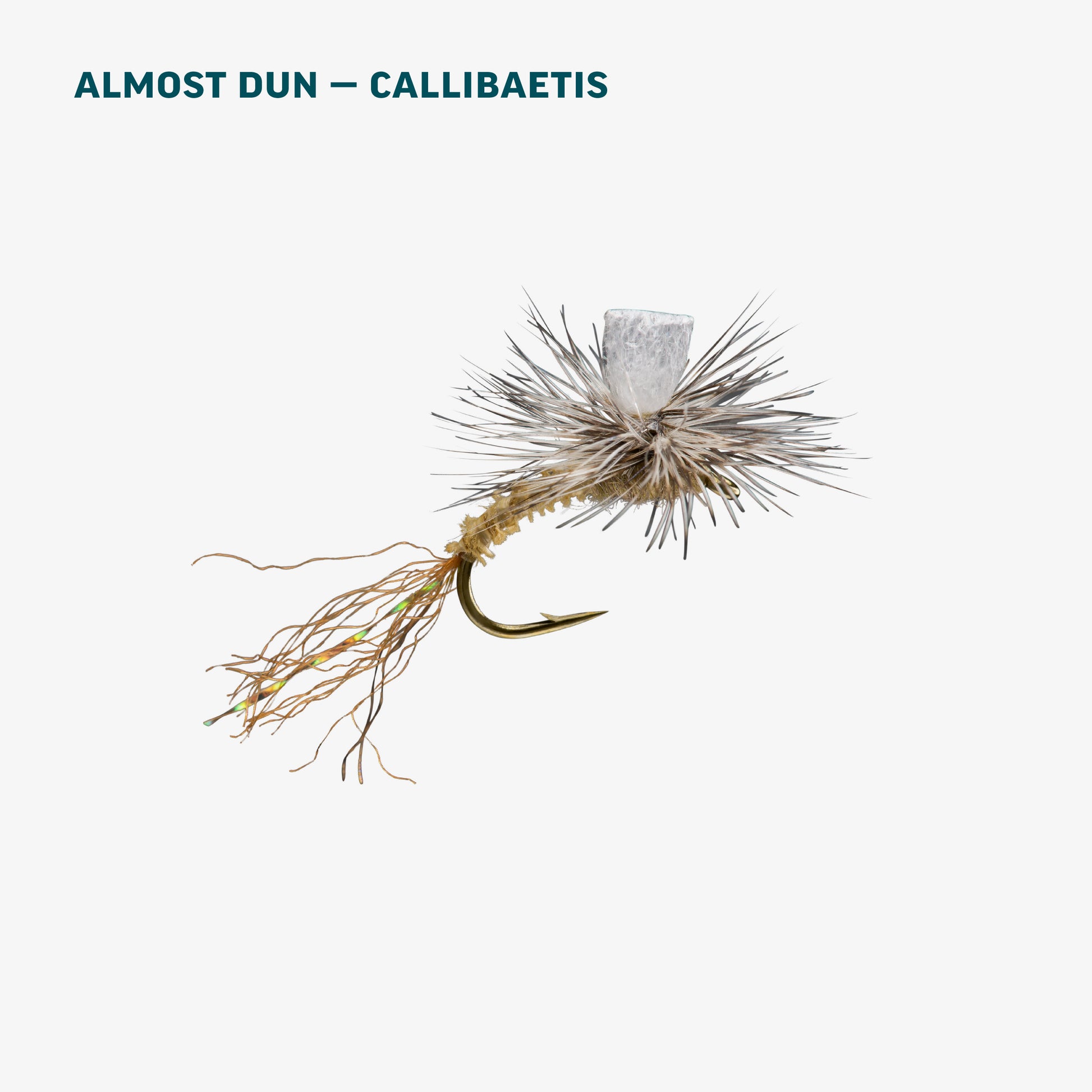 Stillwater Assortment