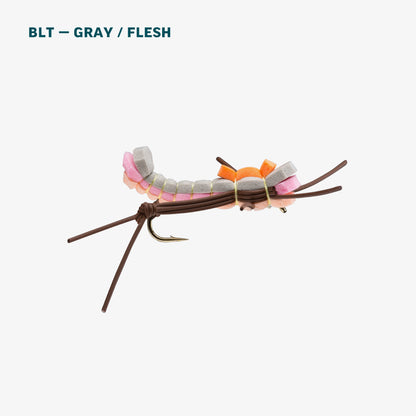 Terrestrial Assortment