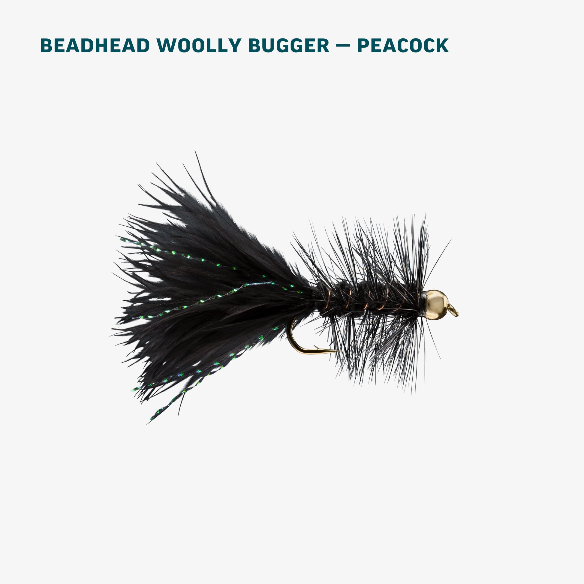 Basic Trout Assortment