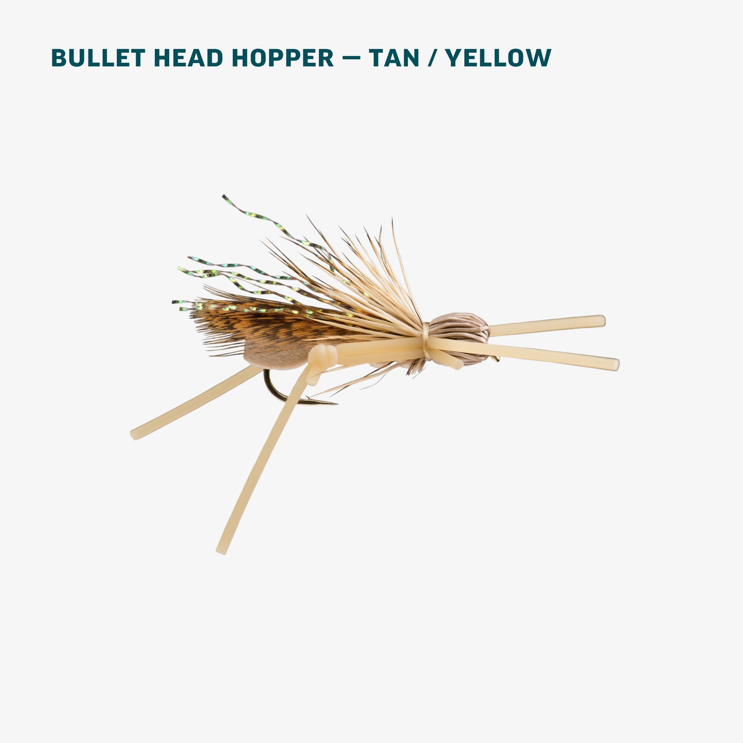 Terrestrial Assortment