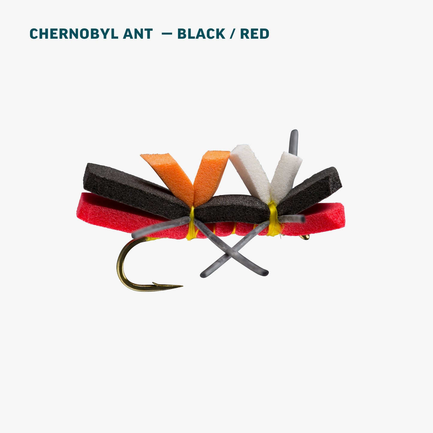 Terrestrial Assortment