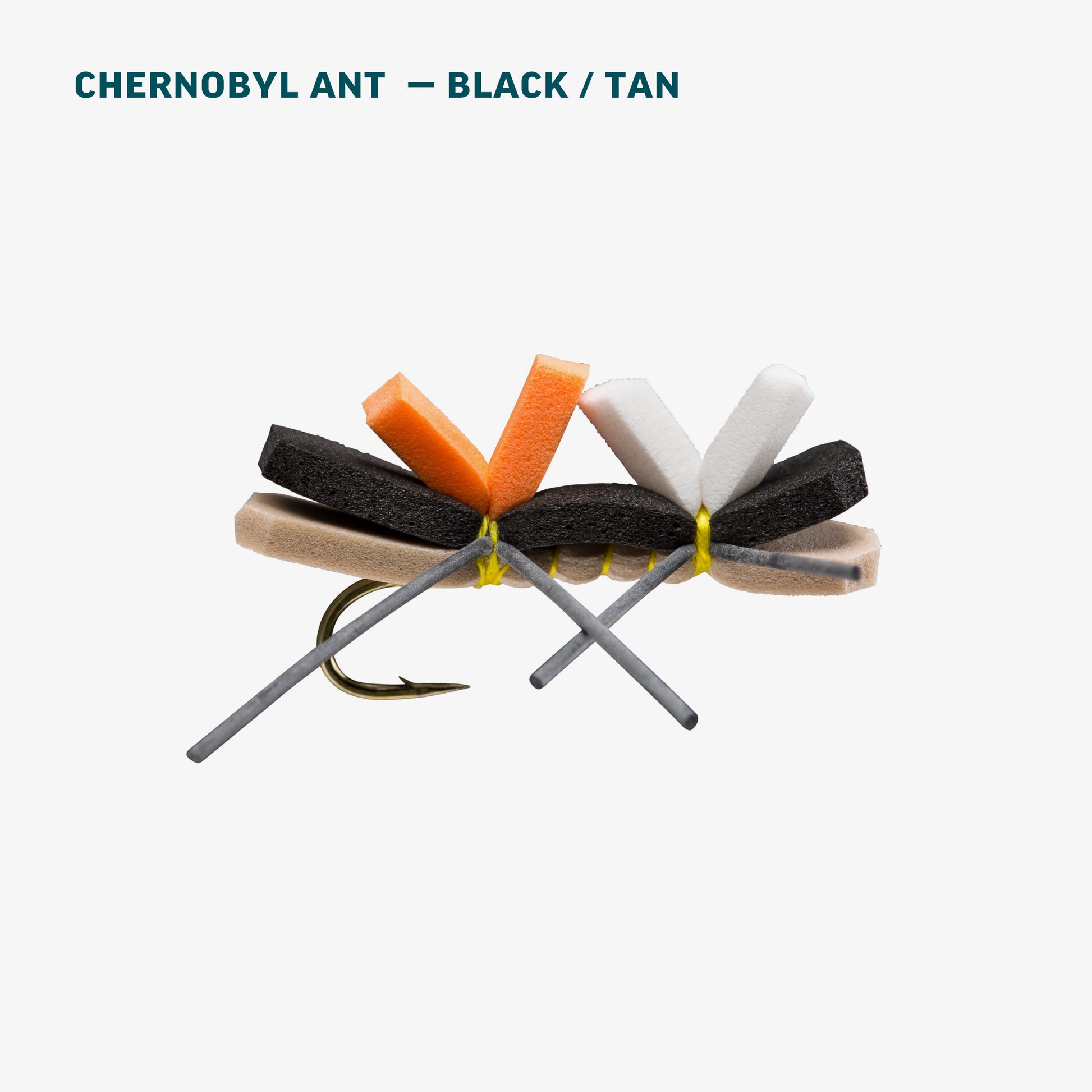 Terrestrial Assortment