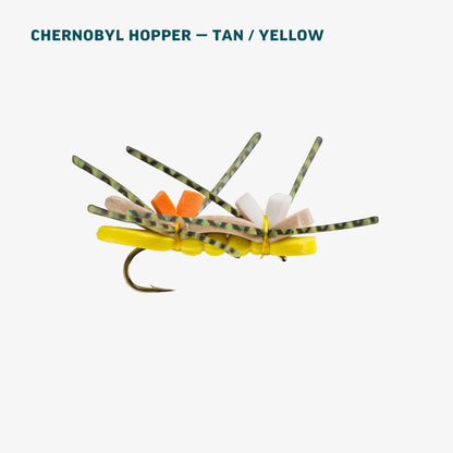 Terrestrial Assortment