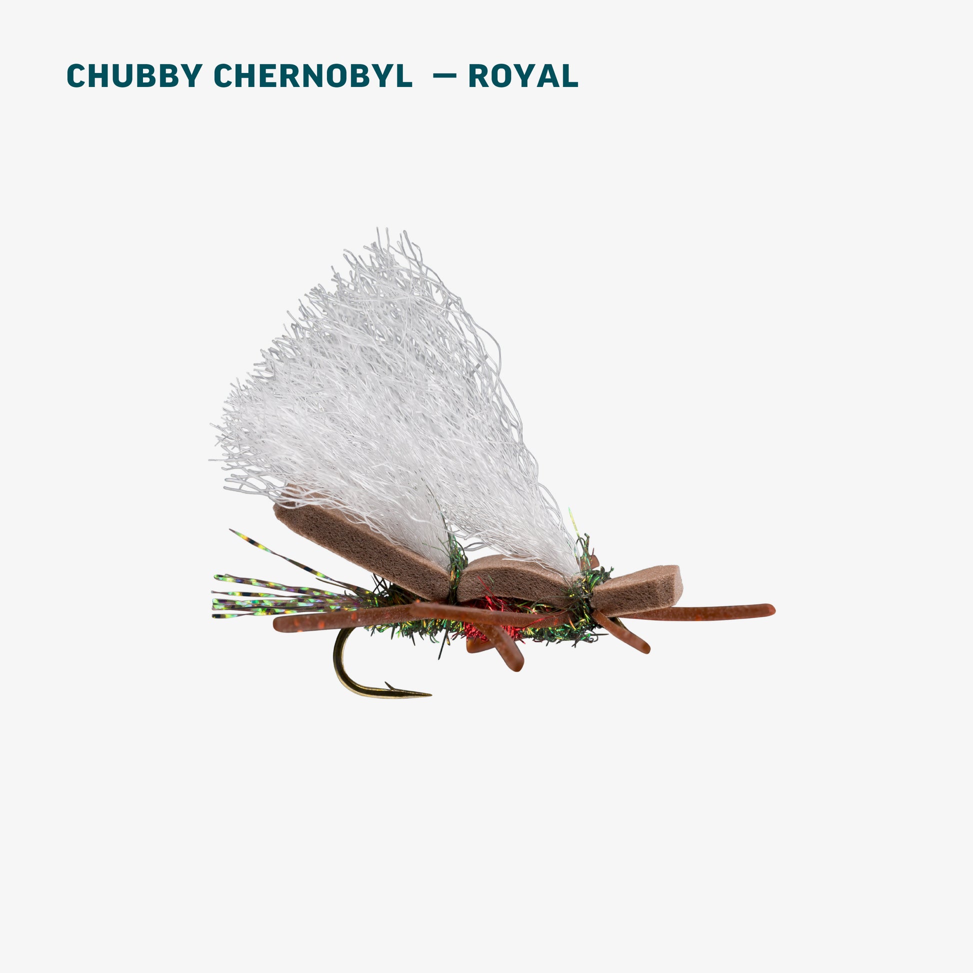 Terrestrial Assortment