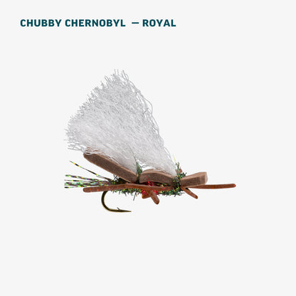 Terrestrial Assortment