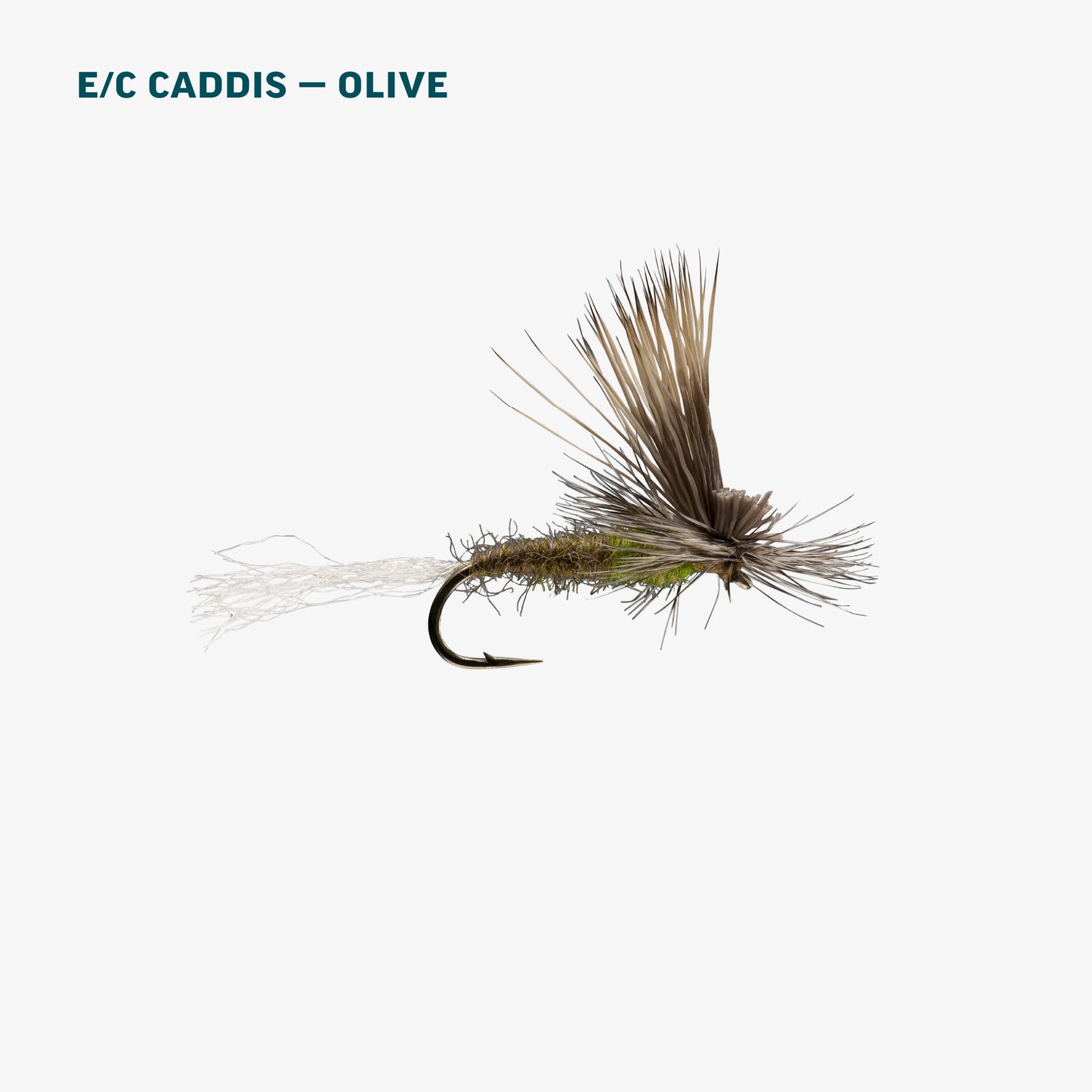 Olive Caddis Dry Assortment