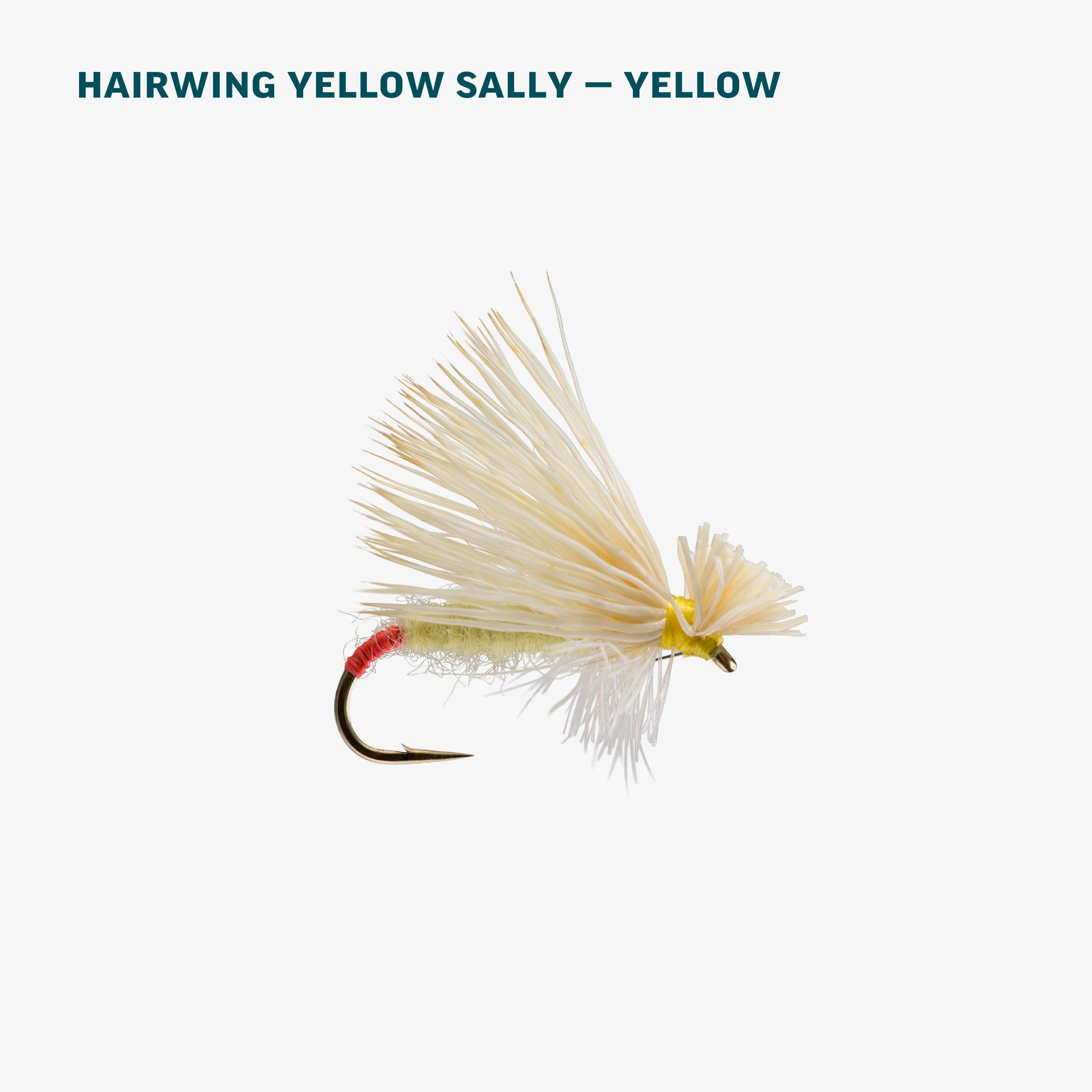 Yellow Sally Dry Assortment