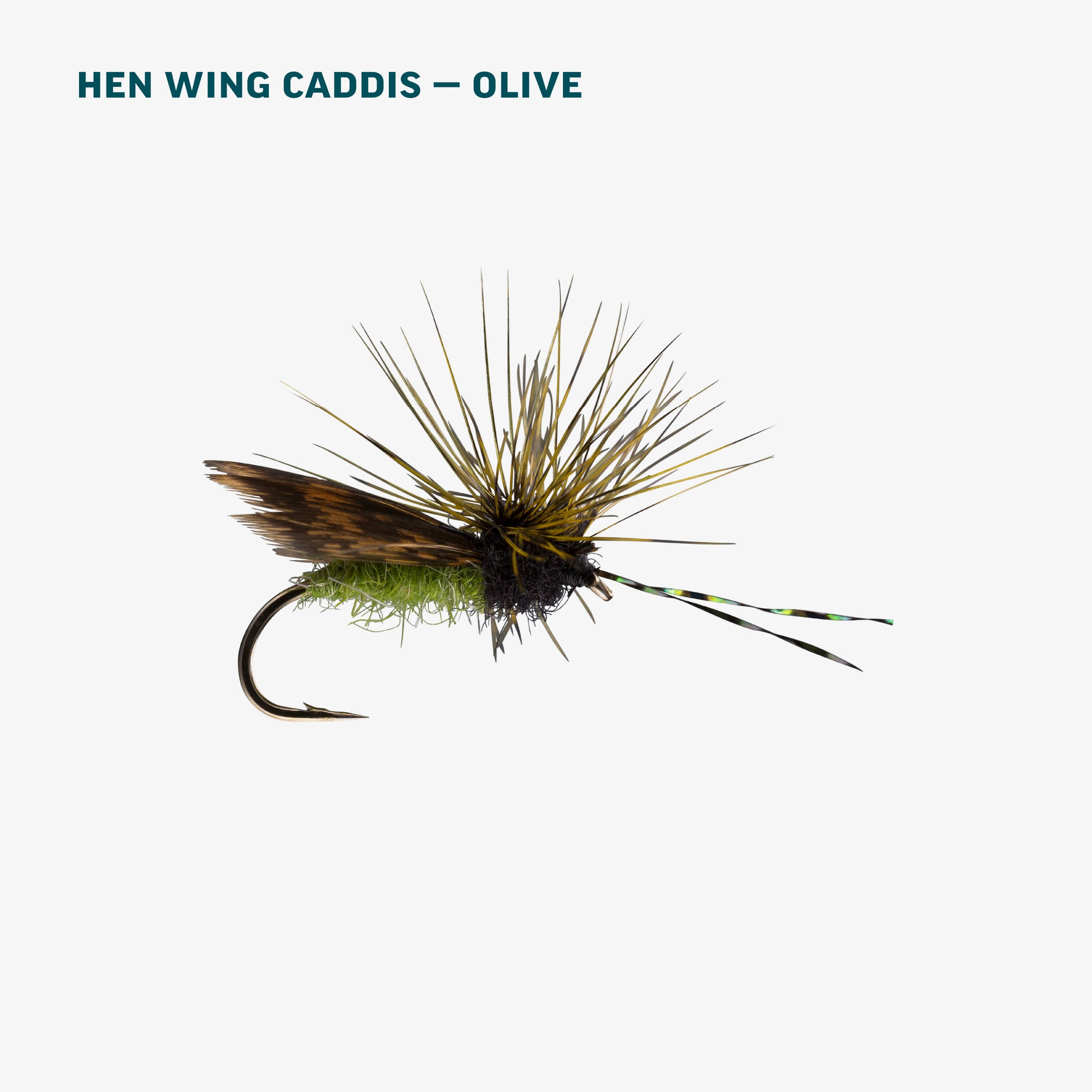 Olive Caddis Dry Assortment