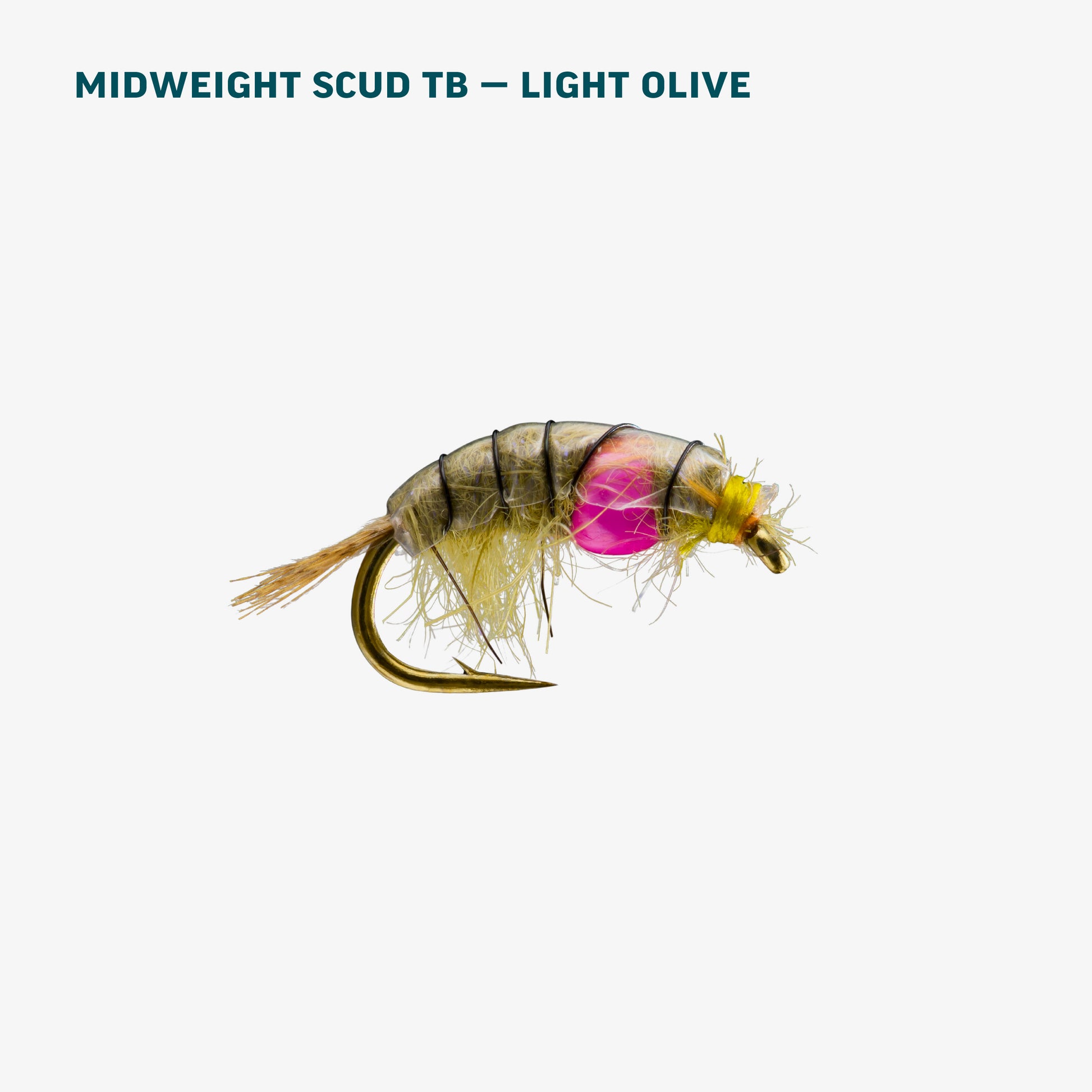 Stillwater Assortment