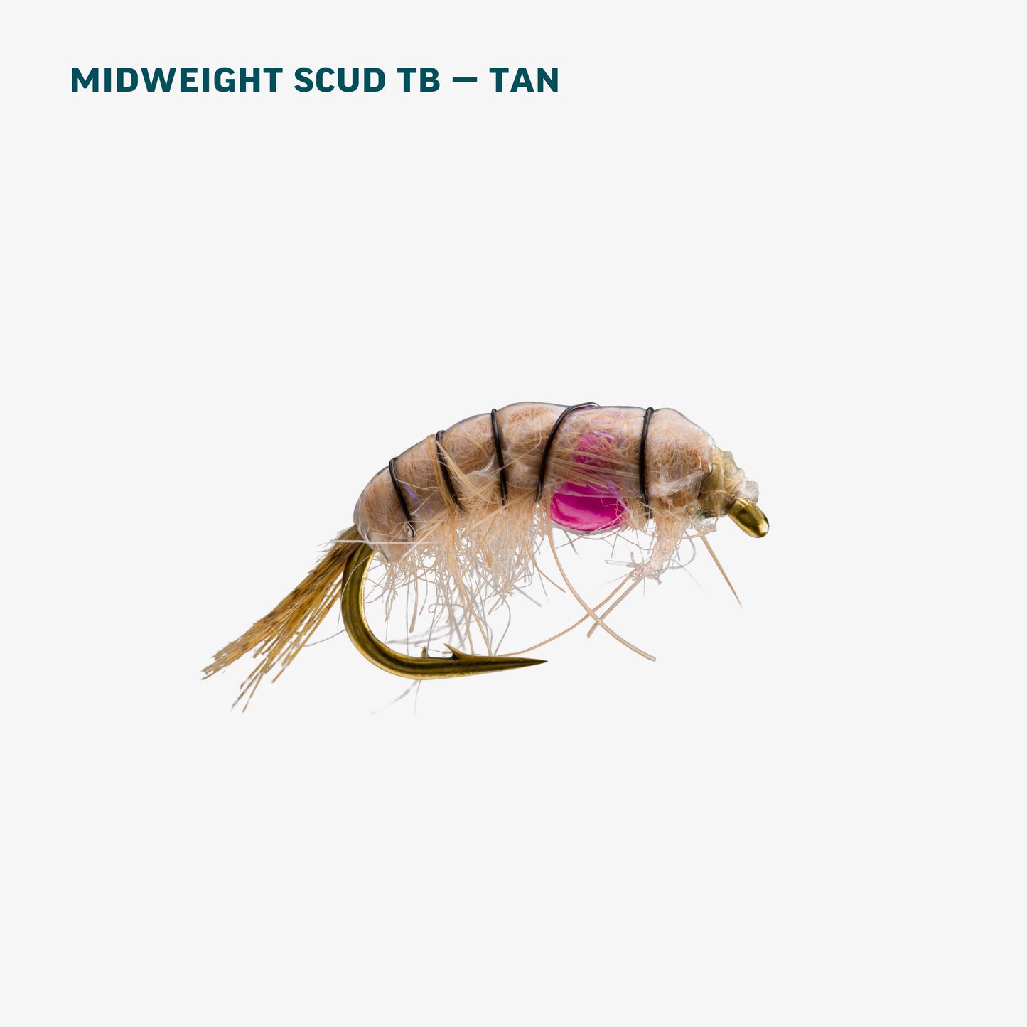 Stillwater Assortment