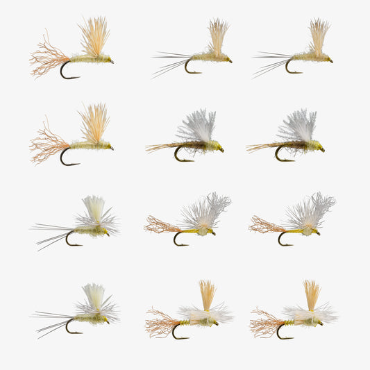 PMD Dry Assortment