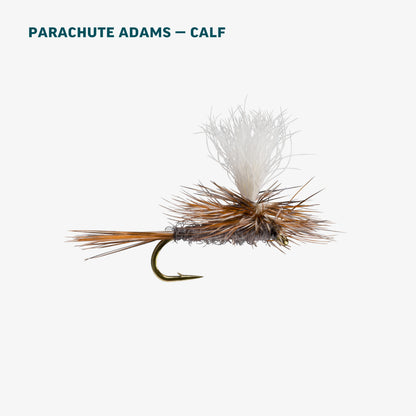 Basic Trout Assortment