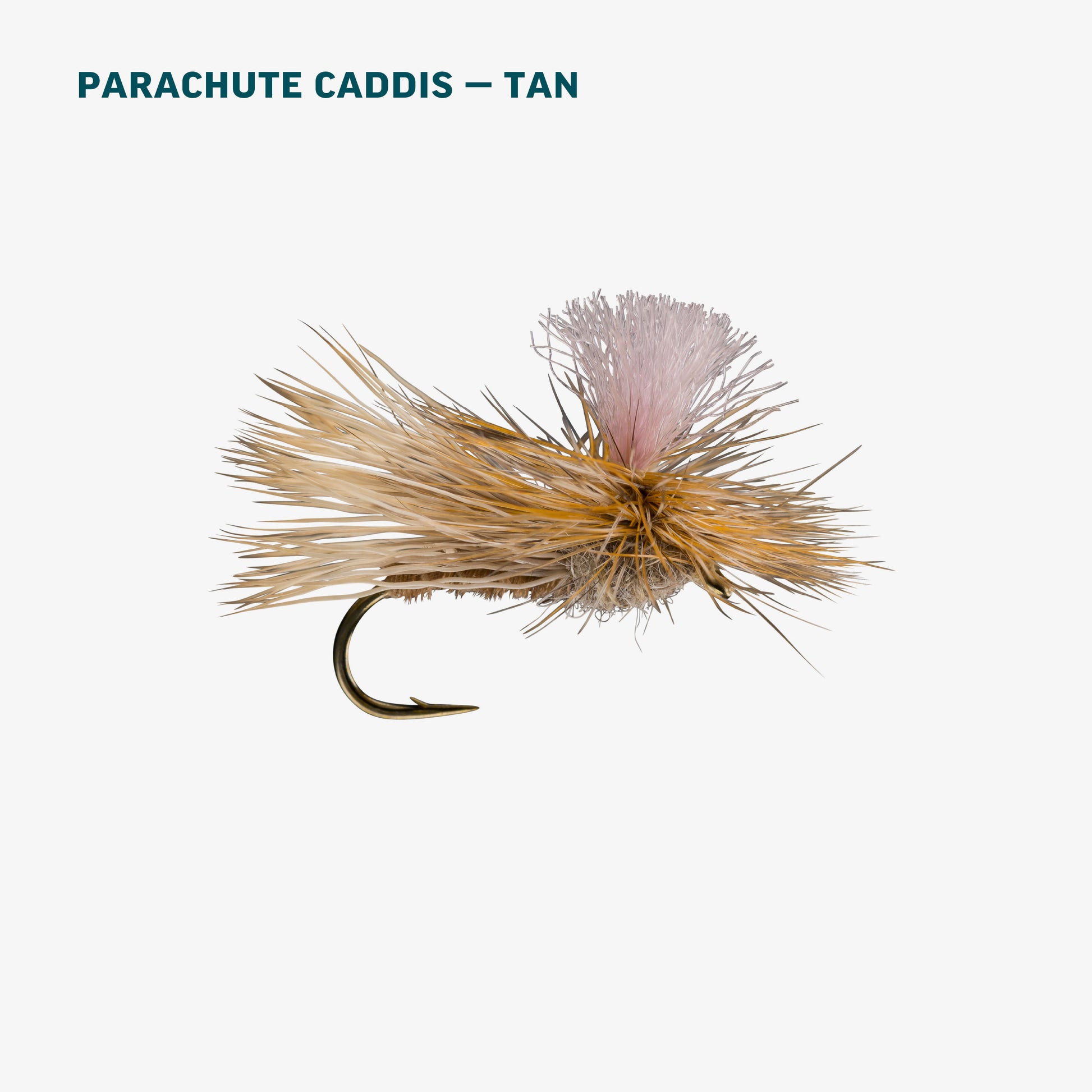 Tan Caddis Dry Assortment
