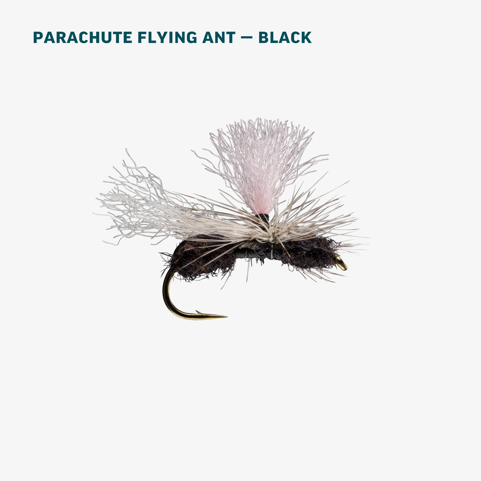 Terrestrial Assortment