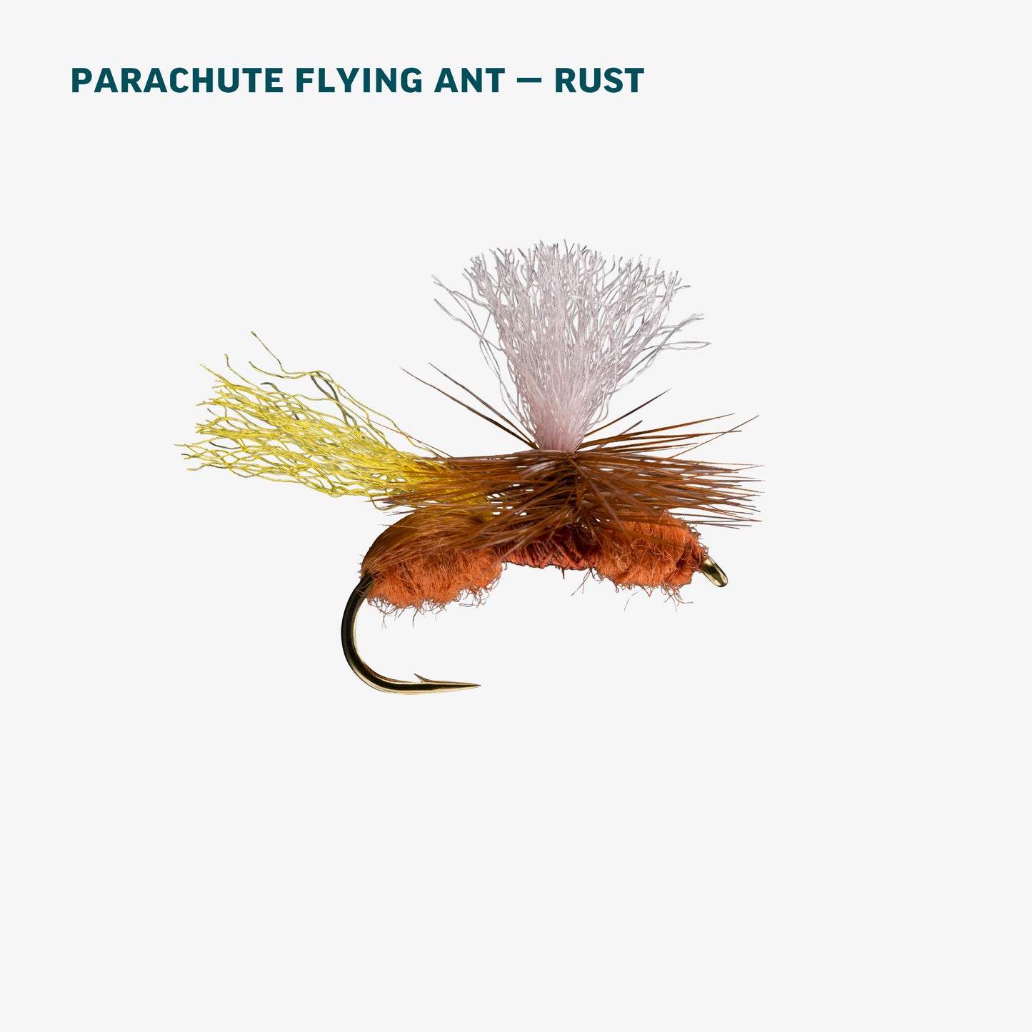 Terrestrial Assortment