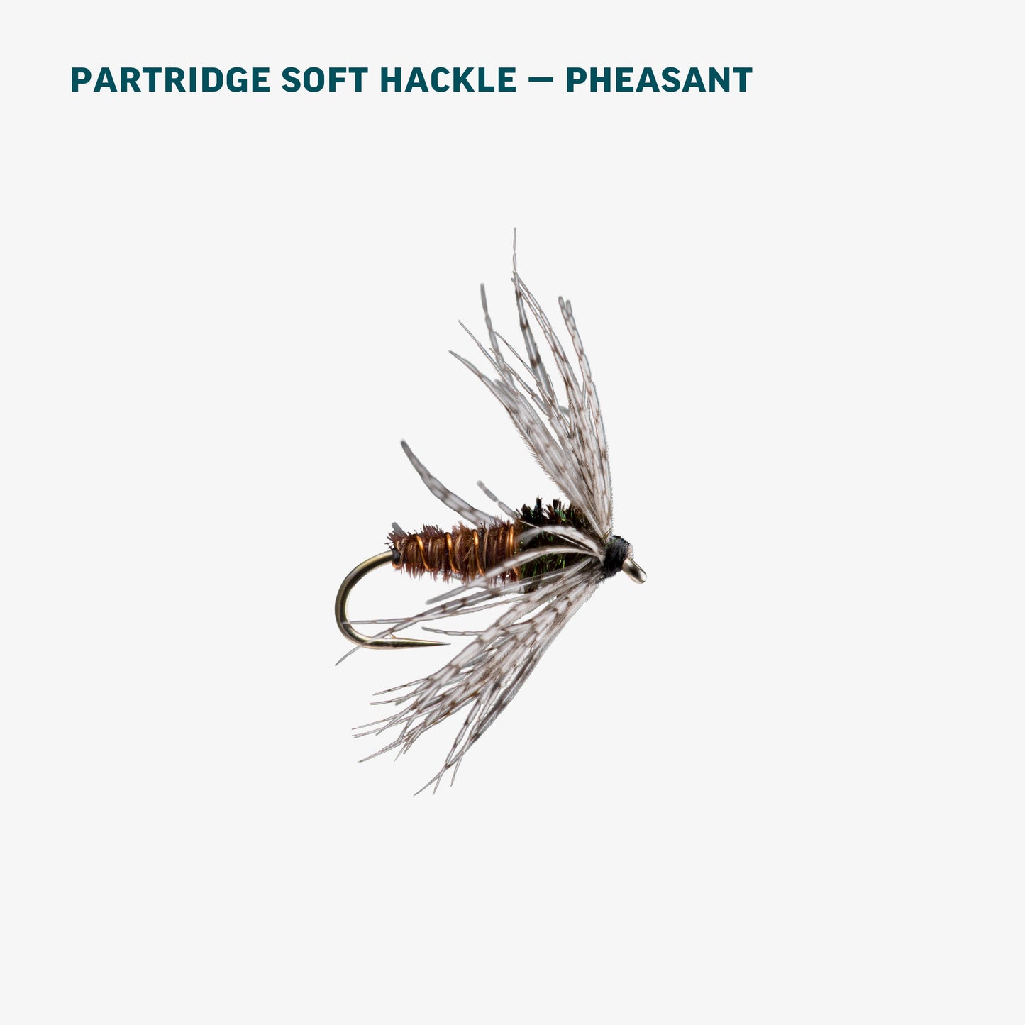 Basic Trout Assortment