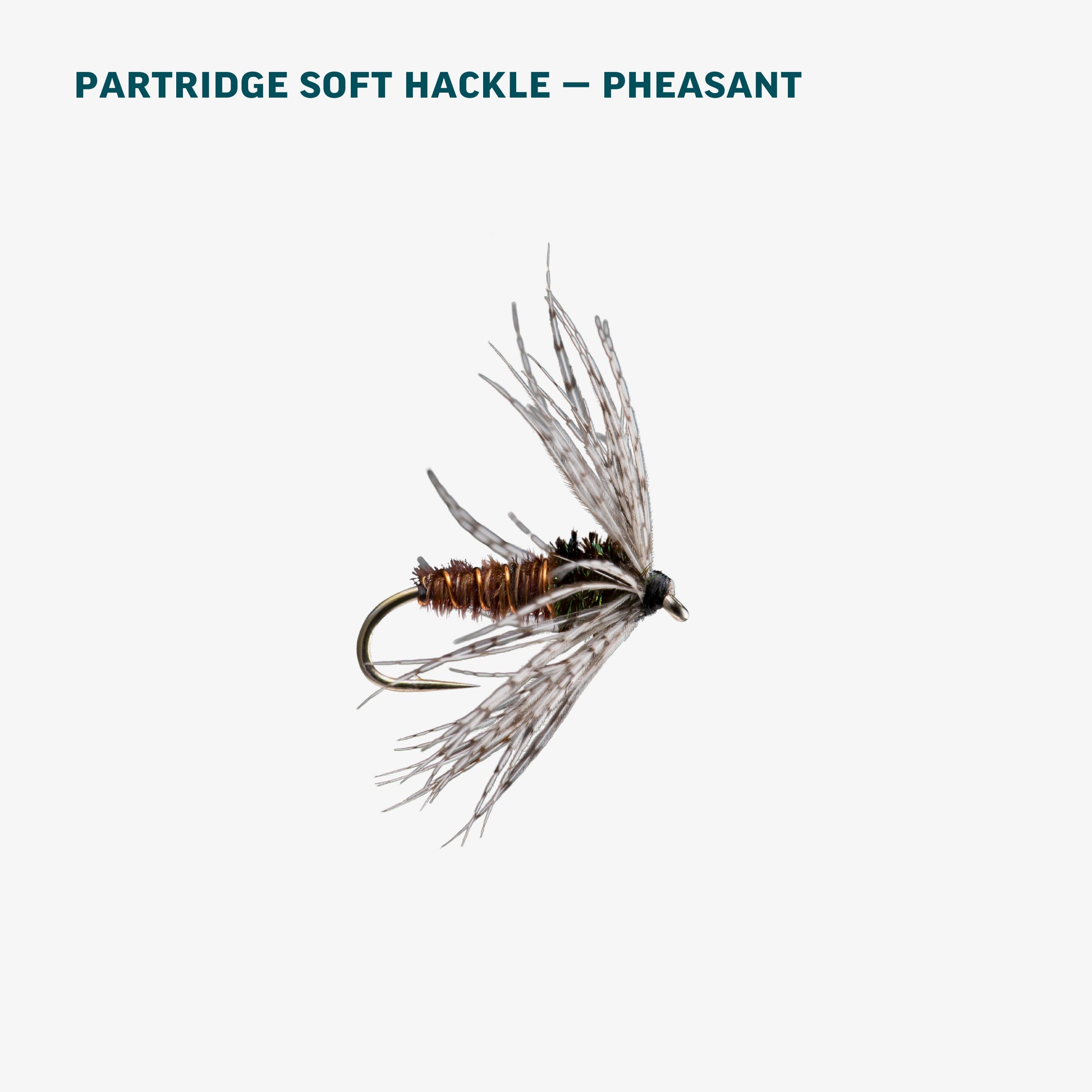 Basic Trout Assortment