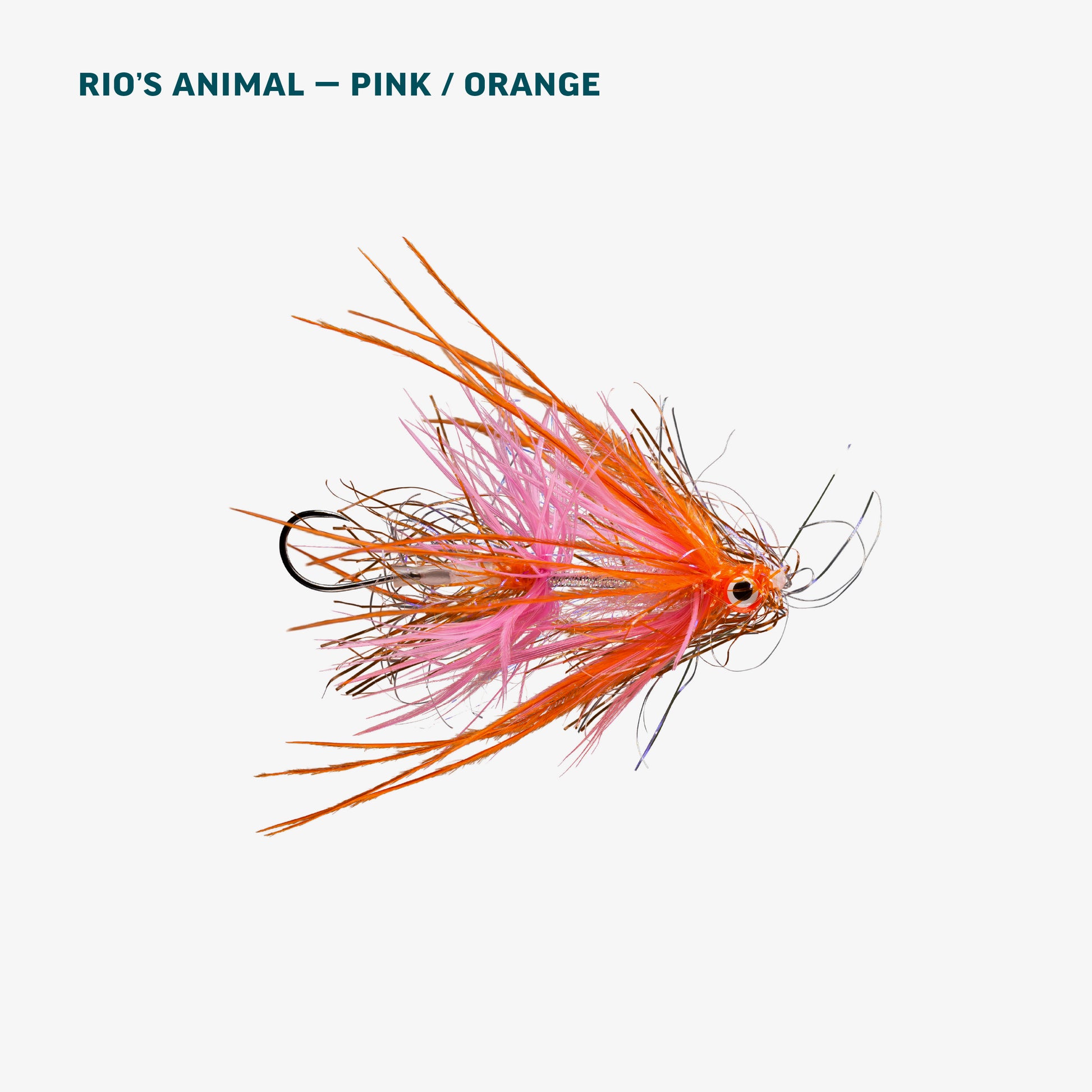 Alaska Salmon Assortment