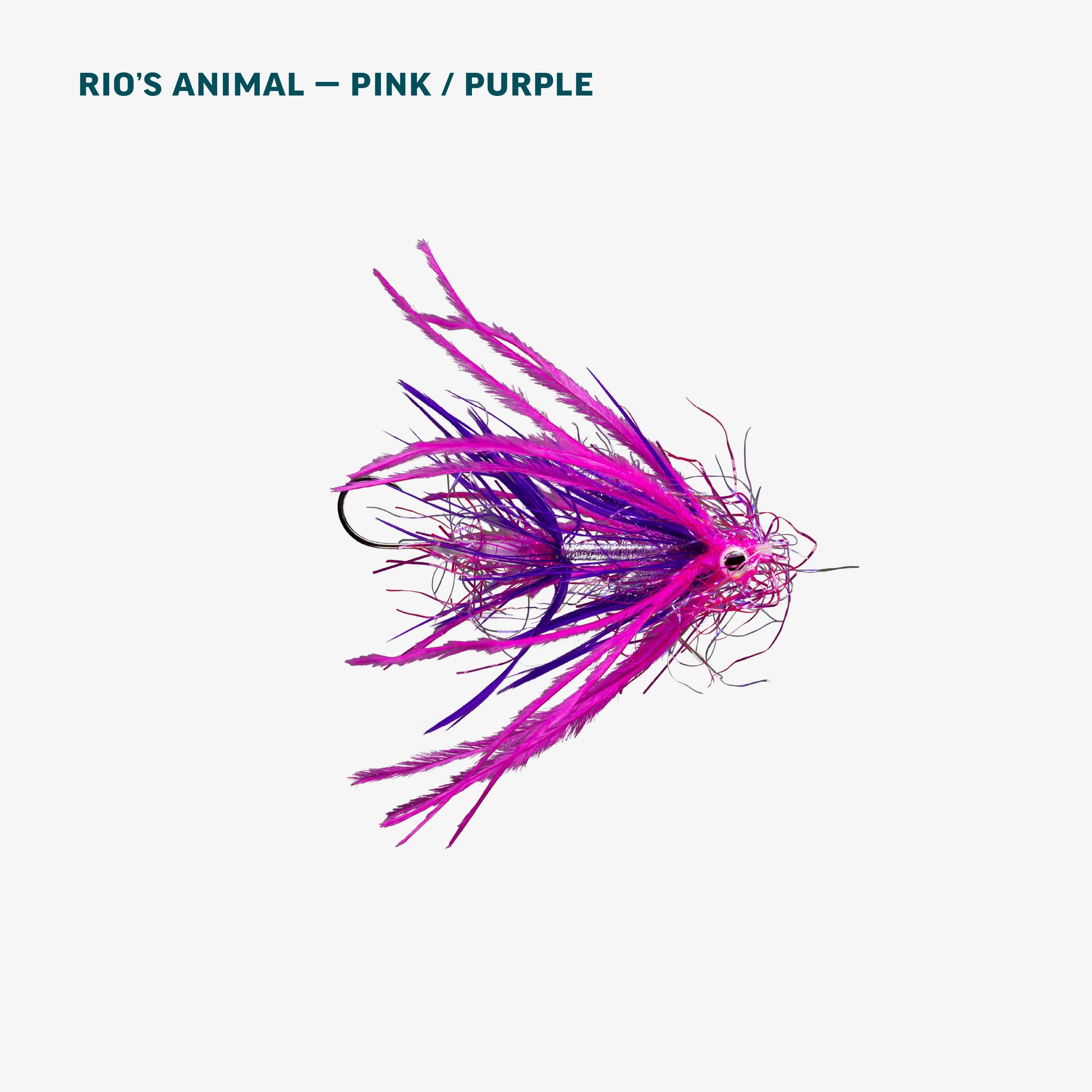 Alaska Salmon Assortment