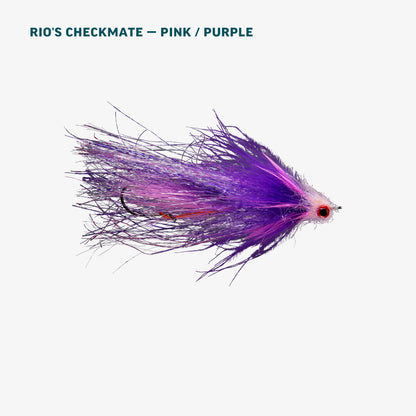 Alaska Salmon Assortment