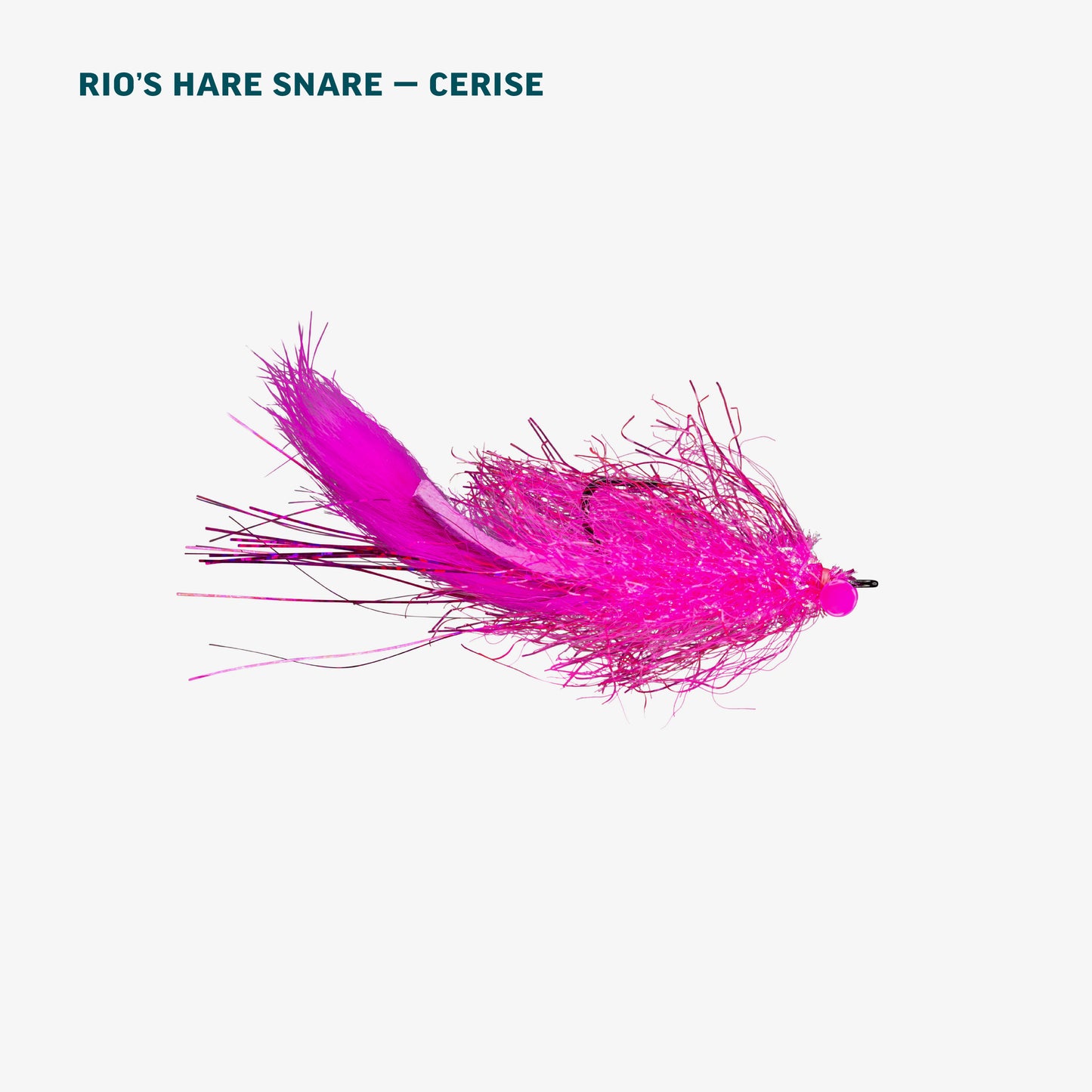 Alaska Salmon Assortment