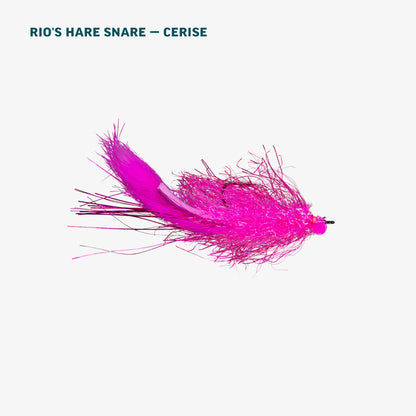 Alaska Salmon Assortment