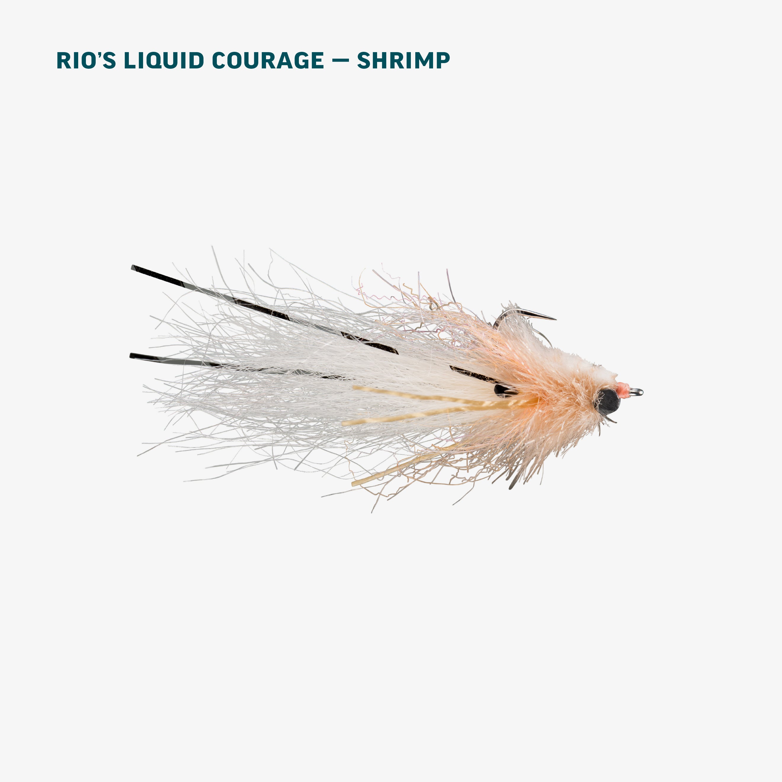 Permit Fly Assortment | RIO Products