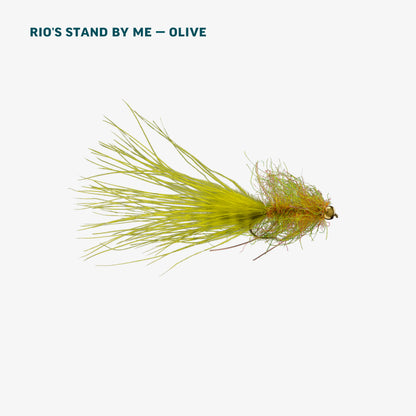 Trout Spey Fly Assortment