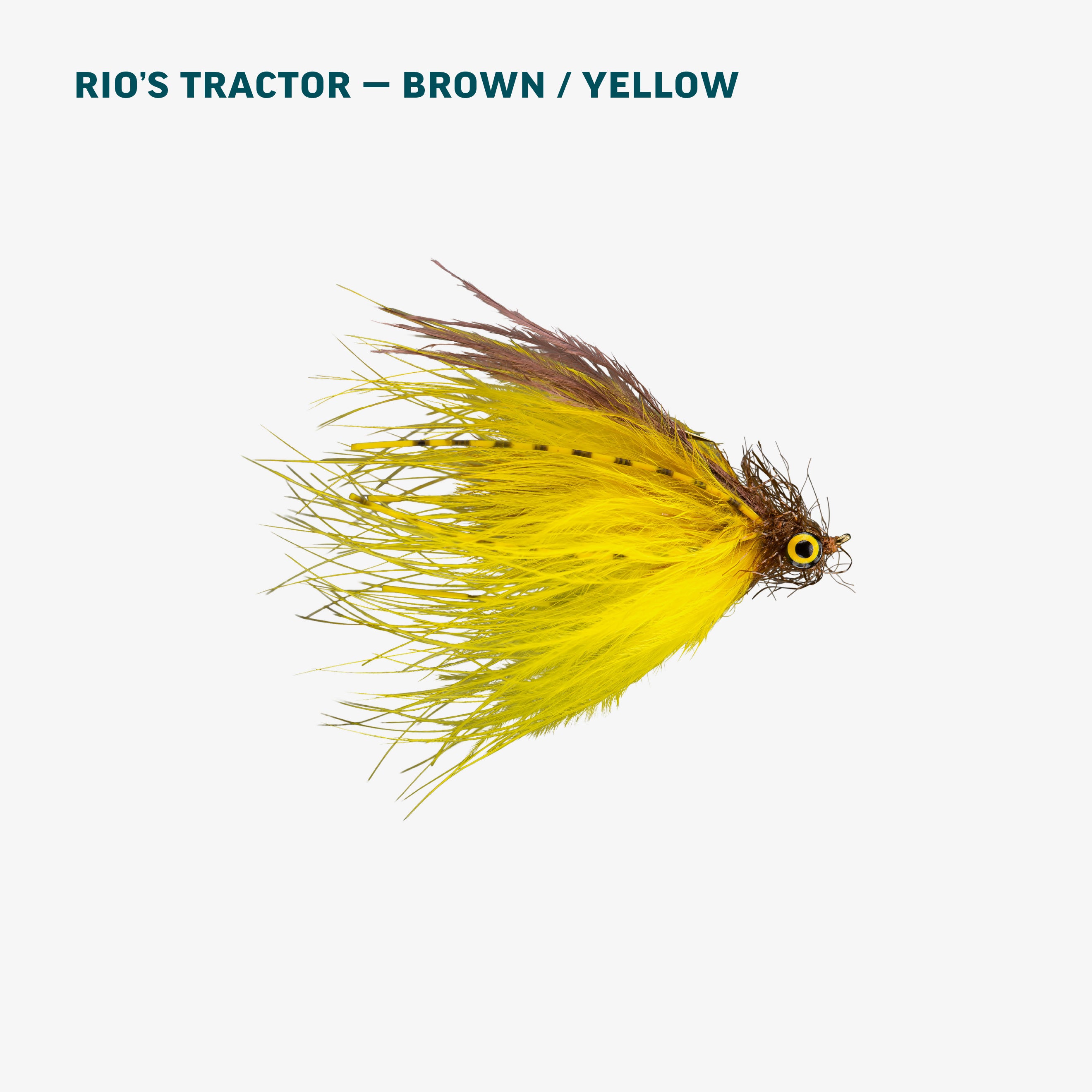Streamer Fly Assortment RIO Products
