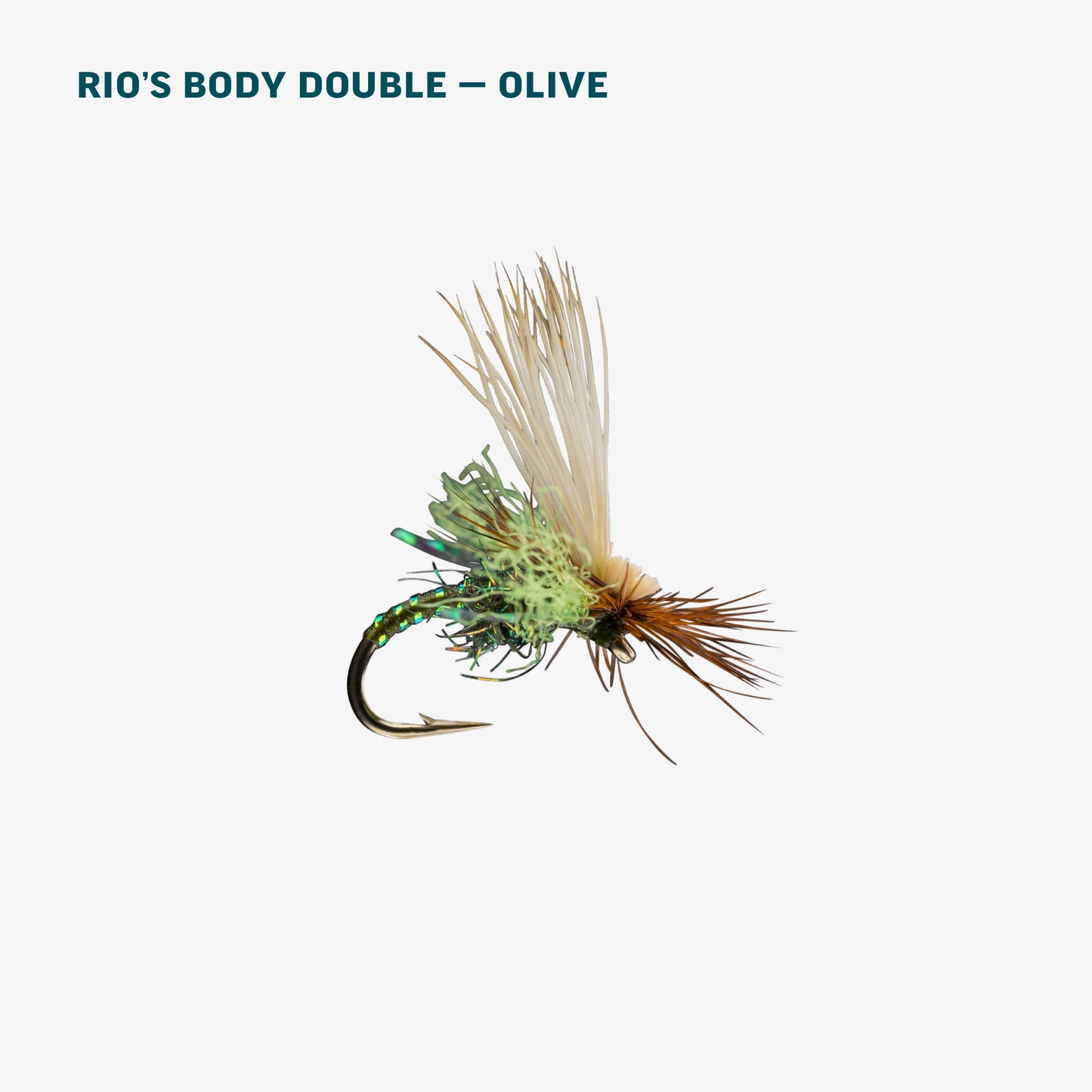 Olive Caddis Dry Assortment