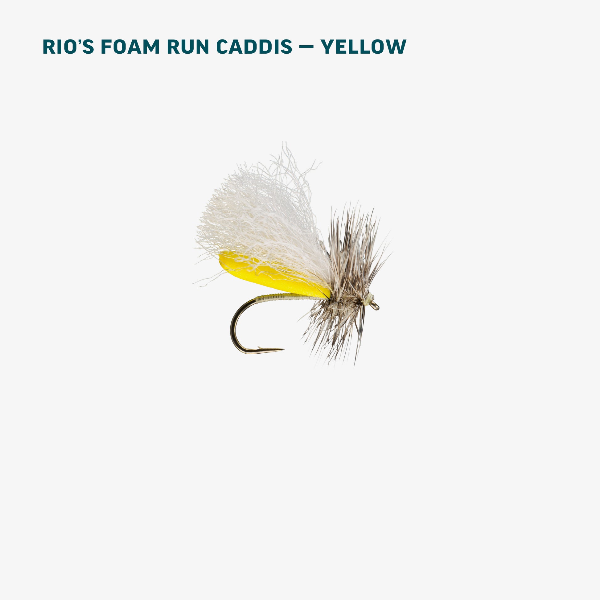 Yellow Sally Dry Assortment