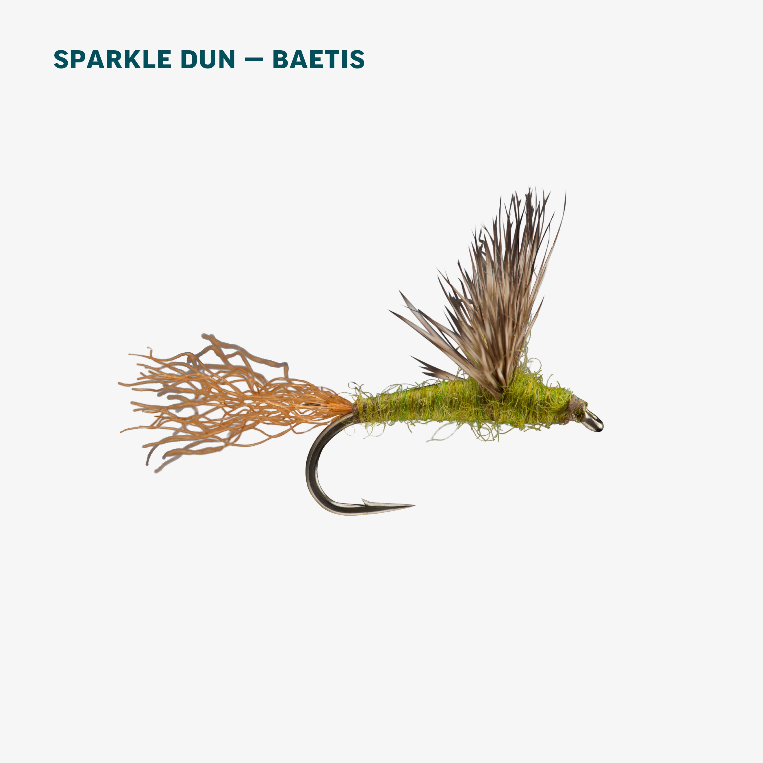 BWO Dry Fly Assortment RIO Products