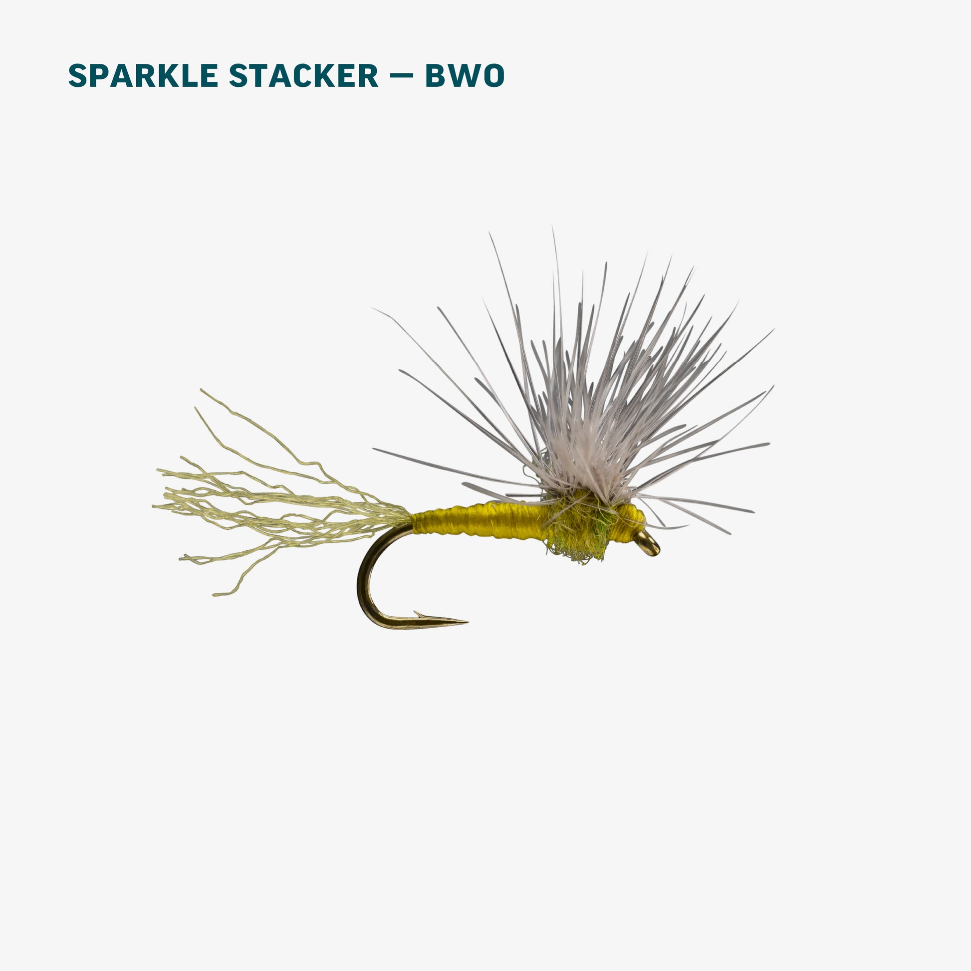 BWO Dry Fly Assortment