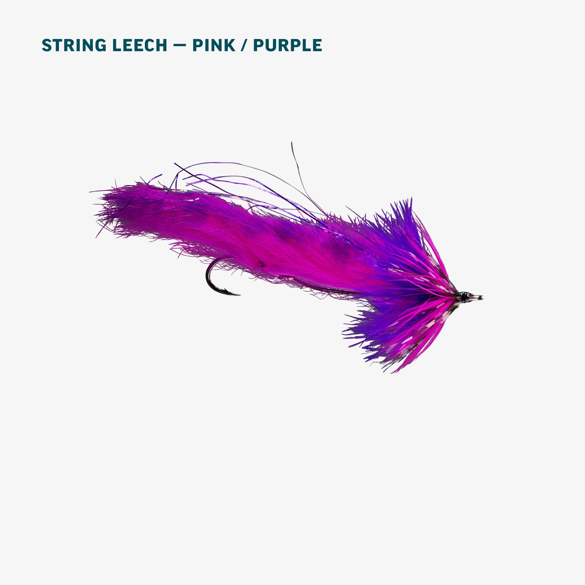 Alaska Salmon Assortment