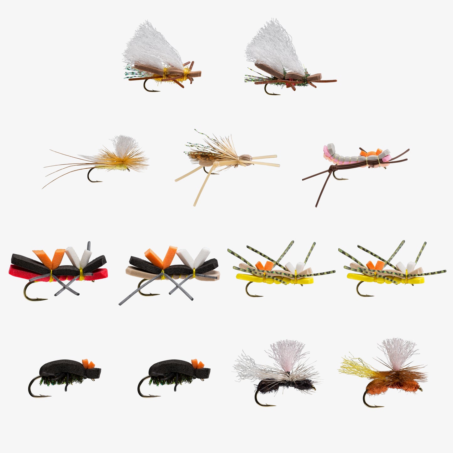 Terrestrial Assortment