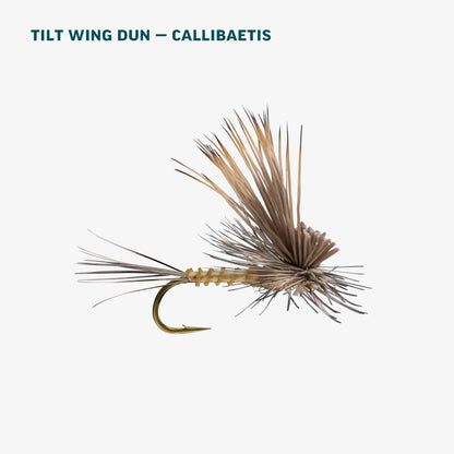 Stillwater Assortment